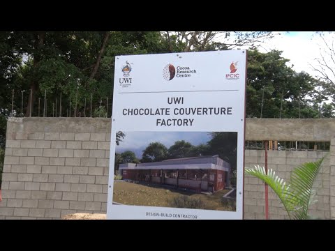 Foundation Laid For Construction Of UWI's Chocolate Factory