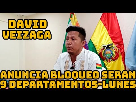 DAVID VEIZAGA DENUNCIA LUCHO ARCE ENTREGO LITO BOLIVIA A LOS CHINOS SIN AUTORIZACIONES..