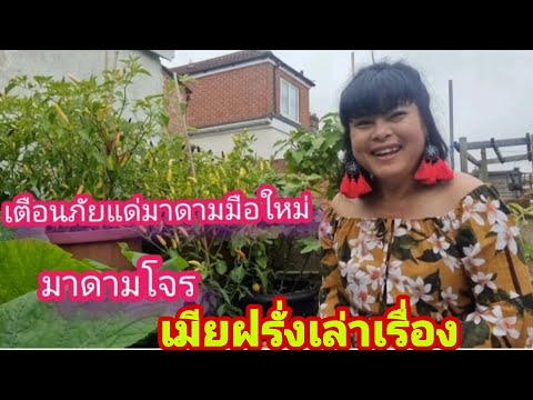 เมียฝรั่งเล่าเรื่อง.-มาดามโจร- เมียฝรั่งเล่าเรื่อง.-มาดามโจร-