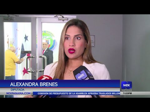 Presentara?n anteproyecto de ley para modificar la ley de pensio?n alimenticia