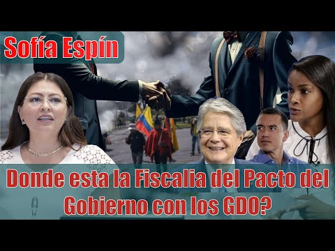 Sofia Espín despedaza a los Gobiernos de Moreno y Lasso