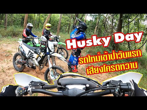 ขี่-Husky-ใหม่เข้าป่าวันแรกโคร ขี่-Husky-ใหม่เข้าป่าวันแรกโคร