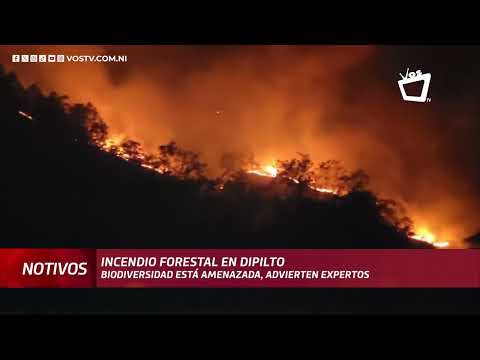 Biodiversidad está amenazada, dicen expertos tras incendio forestal en Dipilto