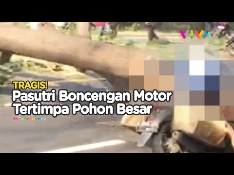 Tiba-Tiba Pohon Raksaksa Tiban Pasutri, Sang Suami Tewas