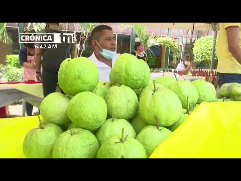 Feria de frutas para reducir afectaciones crónicas - Nicaragua