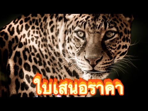 ประโยคเกี่ยวกับธุรกิจใบเสนอรา