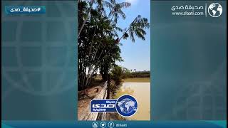 ليته ارتاح مكانه