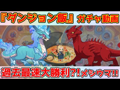 【キノコ伝説】コラボガチャは一度きり!!絶対に『古代竜神』引き当てたい!!ダンジョン飯コラボガチャ動画!!