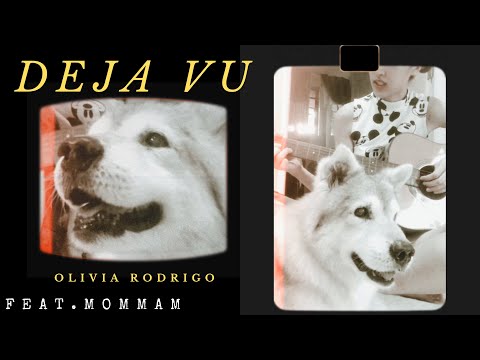 🪐DejaVu—OliviaRodrigo🌚✨