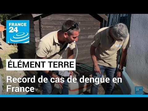 Record de cas de dengue en France • FRANCE 24