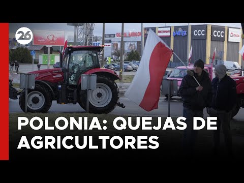POLONIA | Agricultores se quejan de las ventajas a la competencia ucraniana