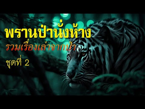 รวมเรื่องพรานป่านั่งห้างชุดท