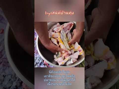 เอาดีทาเนื้อปลาโดทำให้เนื้อปล