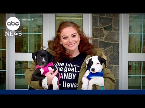 America Strong: Students get a few extra classmates...Puppies!