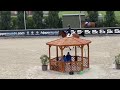 Springpaard Super fijne talentvolle merrie, uit interessante merrielijn