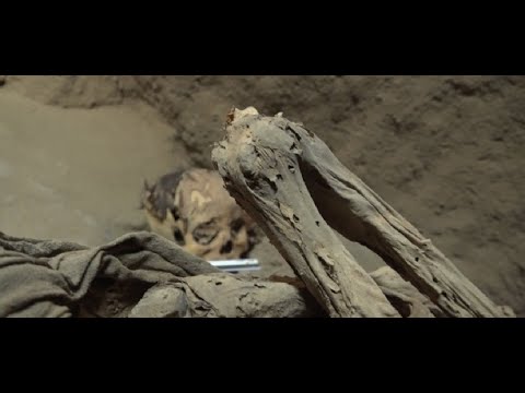 Perú: Hallan una momia de 800 años de antigüedad