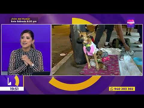 Joven venezolano recibe ayuda para su mascota 'Pelusa' y sus cachorros