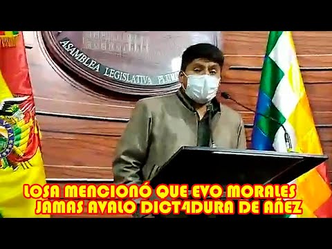SENADOR LOZA ACL4RA QUE EVO MORALES J4MAS AVALO GOBIERNO DE JEANINE AÑEZ...
