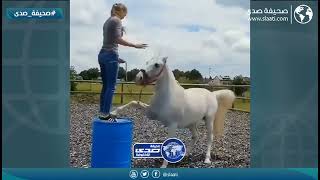 خيل ينتقم من فتاة