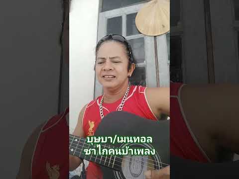 บุษบาเมนทอลเพลงมาแรงตอนนี้จั