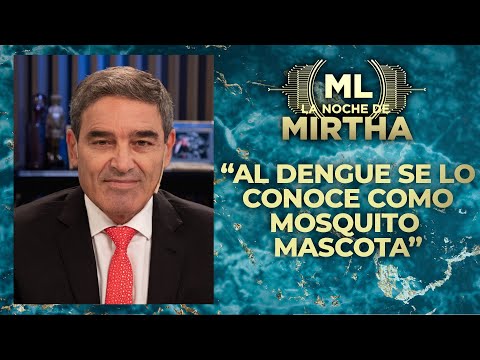 Fernán Quirós explicó la diferencia del mosquito del Dengue: Se lo conoce como mosquito mascota