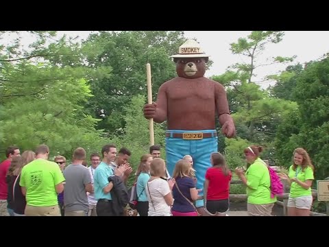 Smokey Bear is celebrating his 80th birthday