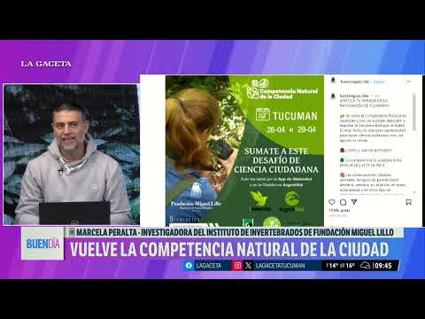 Fundación Miguelillo: Vuelve la Competencia Natural de la ciudad
