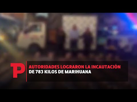 Autoridades lograron la incautación de 783 kilos de marihuana I23.07.2023I TP Noticias