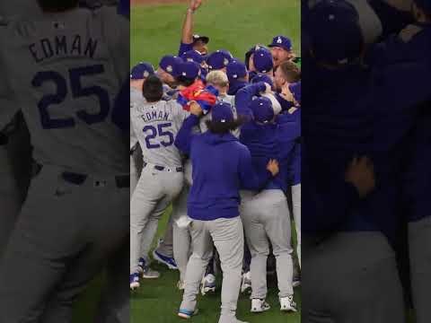 Freddie Cam: #WorldSeries edition!