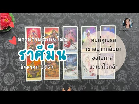 ความรัก💕คนโสด♓ราศีมีน|คนที่ค