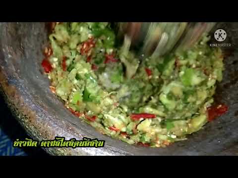ตำมะขามอ่อนใส่ปูนาตามสไตล์คนอี ตำมะขามอ่อนใส่ปูนาตามสไตล์คนอี