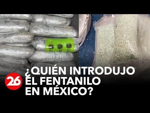 ¿Quién introdujo el fentanilo en México?