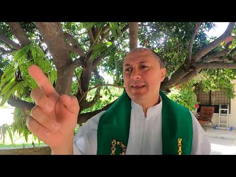 EVANGELIO DE HOY, DOMINGO 7 DE JULIO 2024. CON EL PADRE GERMÁN EDUARDO