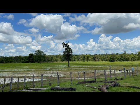 บรรยากาศบ้านนา-มาฟังนิทานนำกัน บรรยากาศบ้านนา-มาฟังนิทานนำกัน