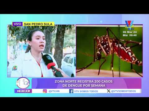 Zona norte registra más de 200 casos de dengue por semana
