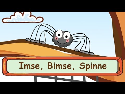 🌼 Imse Bimse Spinne - Fingerspiellieder zum Mitsingen || Kinderlieder