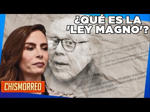 ¿De qué trata la 'Ley Magno' que promueve Luis de Llano? | El Chismorreo