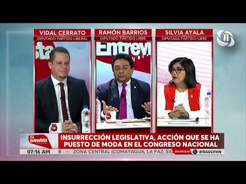 LA ENTREVISTA l Insurrección legislativa, acción que se ha puesto de moda en el Congreso Nacional