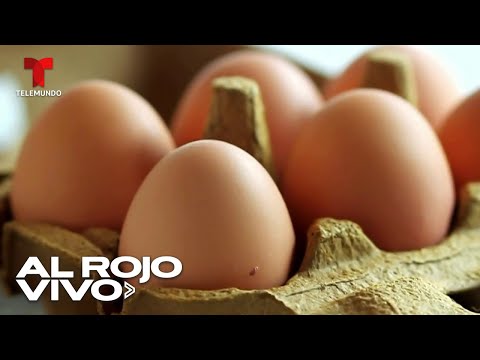 Alertan por consumo de huevos que podrían estar contaminados en Estados Unidos