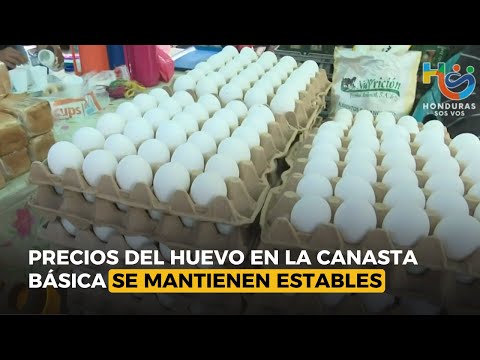 Precios del Huevo en la canasta básica familiar se mantienen estables