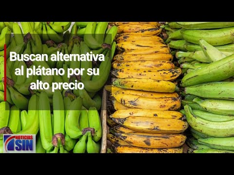 Buscan alternativa al plátano por su alto precio