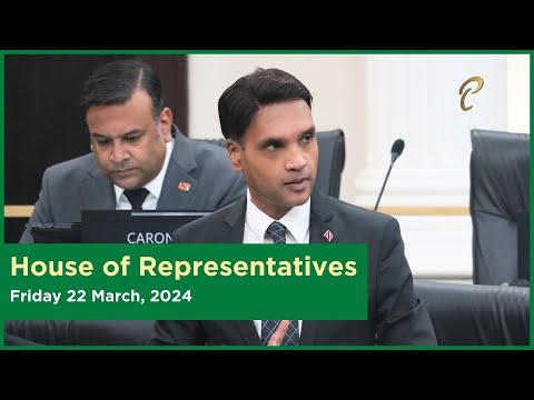 17th Sitting of the House of Representatives - 4th Session - March 22, 2024