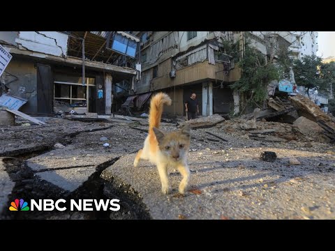 Matt Bradley reports on fatal Israeli strikes in central Beirut