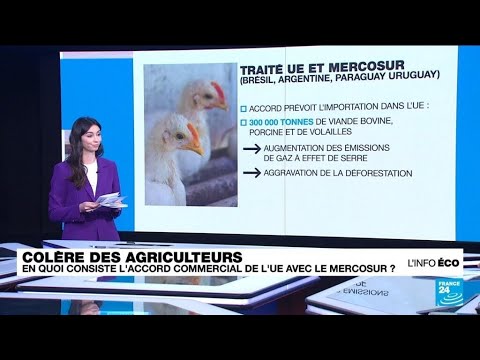 Crise agricole : en quoi consiste l'accord entre l'UE et le Mercosur ? • FRANCE 24