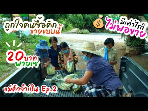 EP180ขายดิบขายดี-ข้าวโพดมาแล้ว EP180ขายดิบขายดี-ข้าวโพดมาแล้ว