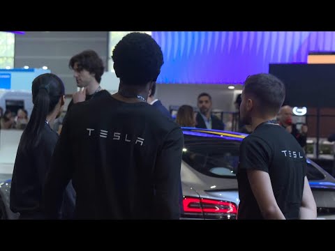 Tesla car crashes and catches fire in France, killing 4