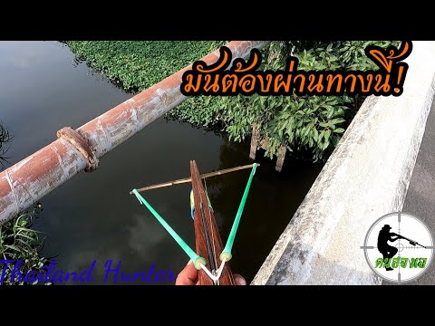 SHOOT-FISH-ยิงปลา-ต้องรู้ทางปล SHOOT-FISH-ยิงปลา-ต้องรู้ทางปล
