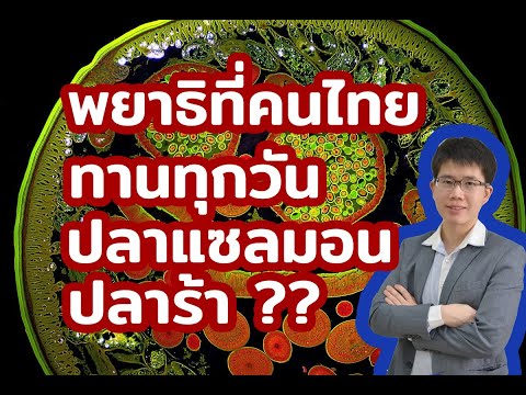 5พยาธิที่คนไทย-ทานทุกวัน!!!-l- 5พยาธิที่คนไทย-ทานทุกวัน!!!-l-