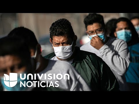 México, destino de migrantes: más de 51,000 peticiones de asilo se registran en lo que va del 2021