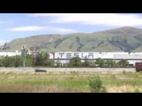 Tesla factory's reopening draws mixed reactions